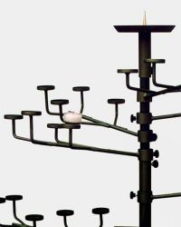 Branch with 4 holders