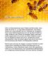 Preview: Altarkerze 600 x 40 mm 10 % Bienenwachs
