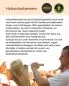Preview: Madonna mit Kind 30 cm holzgeschnitzt, bemalt