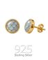 Preview: Ichthys Ohrringe 8 mm Silber vergoldet Email Fischschuppen