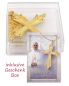 Preview: Pektorale Papst Leo XIV  7,8 x 6,5 cm mit Kette 60 cm