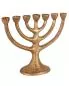 Preview: Menorah 22 x 29 cm solide Bronze 7-armiger Leuchter