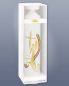 Preview: Taufkerze Schutzengel gold Regenbogen 265 x 60 mm