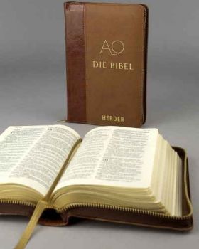 Taschenbibel im Kunstlederetui