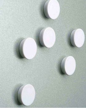 10 Magnete 25 mm Ø mit weißer Kunststoffkappe