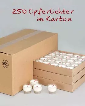 Opferkerzen weiß 50 mm Ø 250 Opferlichter 9 Stunden