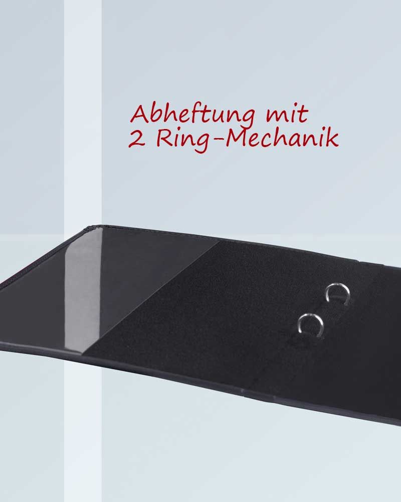 Verkündigunsmappe A4 Auferstehungs- Sonne silber
