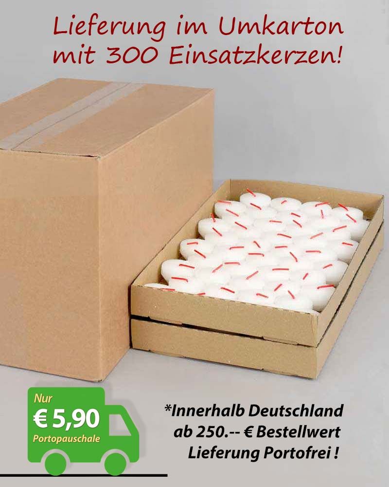 300 Teelichter 38 mm Ø RAL für 270011 + 270010