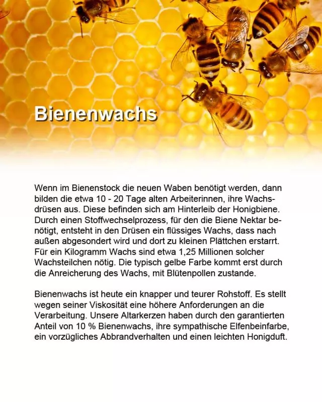 Altarkerze 300 x 60 mm RAL mit 10% Bienenwachs Altarkerze 300 x 60 mm RAL mit 10% Bienenwachs