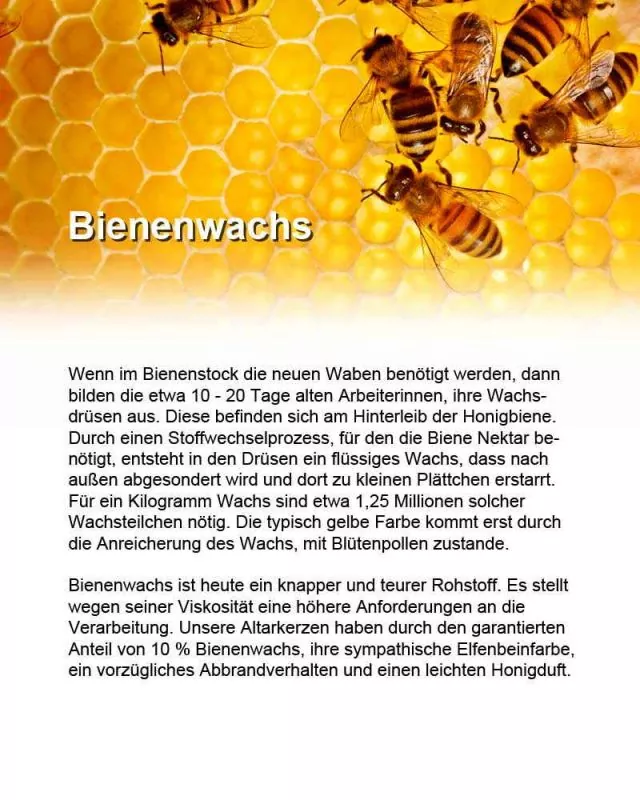 100 Opferkerzen 245 x 7 mm 100 % Bienenwachs