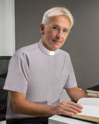 Collarhemd Halbarm Grau Baumwolle bügelleicht